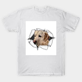 Break Out Labrador T-Shirt